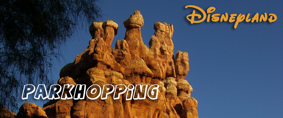 Disneyland Park Hopping & Rides